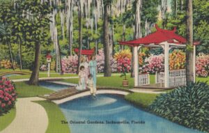 Vintage Postcard Florida Jacksonville The Oriental Gardens 3