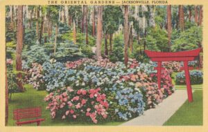 Vintage Postcard Florida Jacksonville The Oriental Gardens
