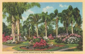 Vintage Postcard Florida Winter Park Scene in Garden of Brewer Estate