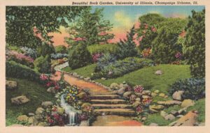 Vintage Postcard Illinois Champaign Urbana University of Illinois Beautiful Rock Garden