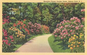 Vintage Postcard New Jersey Asbury Park Beautiful Flower Garden Scene