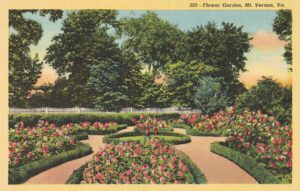 Vintage Postcard Virginia Mount Vernon Flower Garden