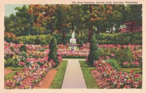 Vintage Postcard Wisconsin Kenosha Lincoln Park The Rose Gardens