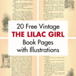 20 Free Vintage The Lilac Girl Book Pages with Illustrations