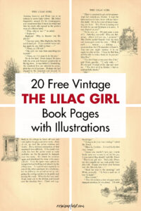 20 Free Vintage The Lilac Girl Book Pages with Illustrations
