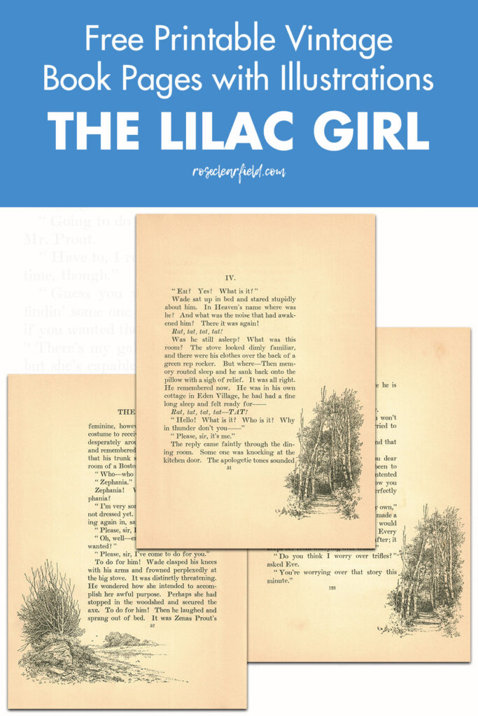 Free Printable Vintage Book Pages with Illustrations The Lilac Girl