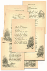 The Lilac Girl Book Pages