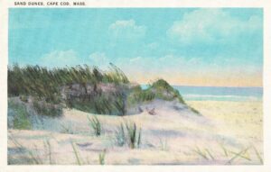Vintage Postcard Massachusetts Cape Cod Sand Dunes Preview
