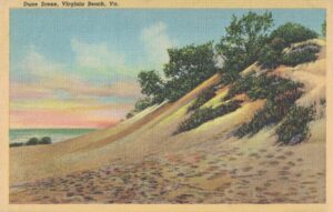 Vintage Postcard Virginia Virginia Beach Dune Scene Preview