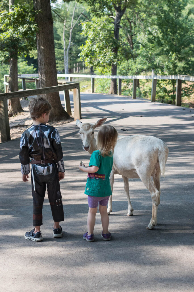 Tommy and Olivia Wisconsin Deer Park