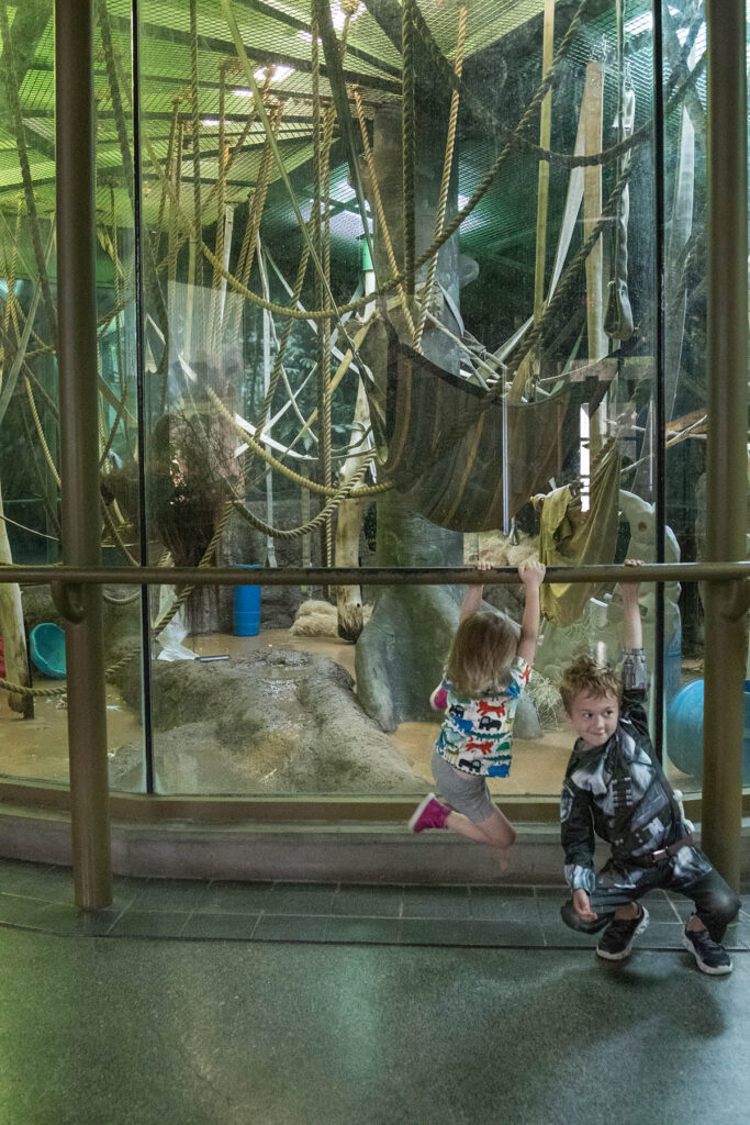 Tommy and Olivia with Orangutans