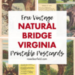 Free Vintage Natural Bridge Virginia Printable Postcards