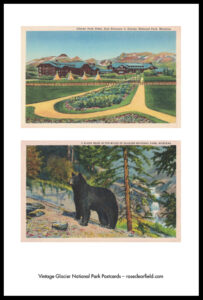 Vintage Glacier National Park Postcards 8.5x11 Pages Preview