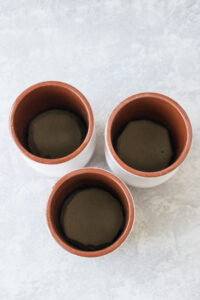 Ceramic Jars with Floral Foam