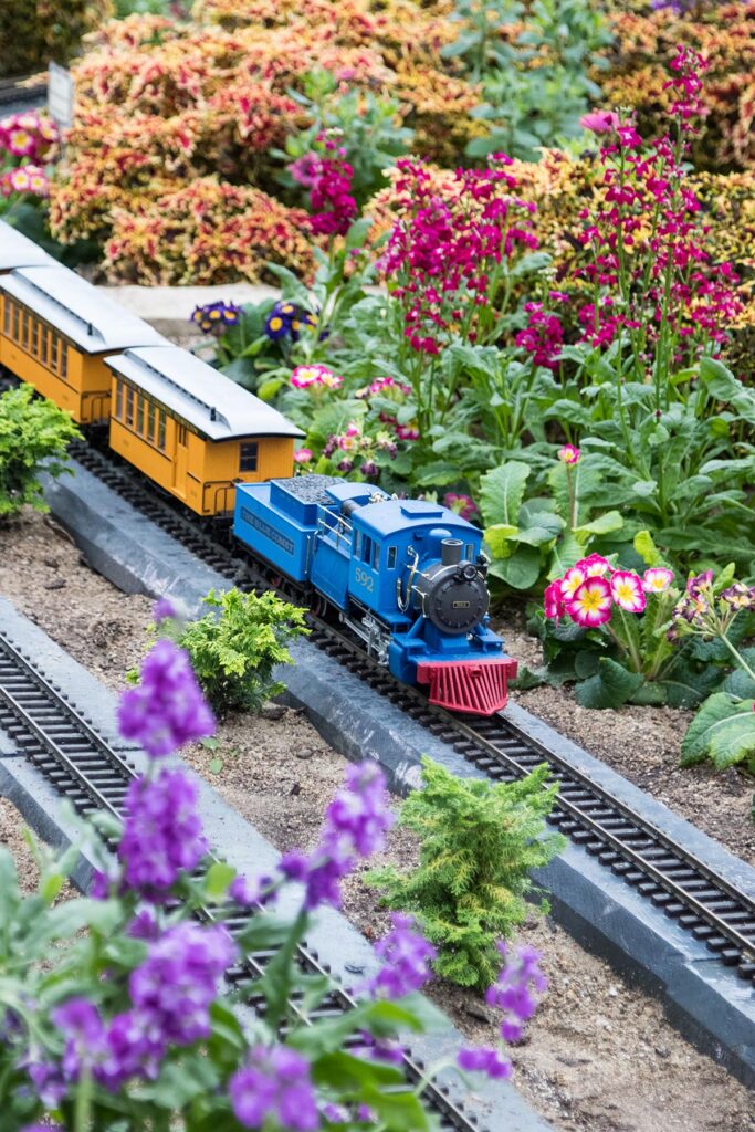 Domes Train Show