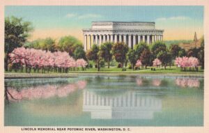 Vintage Postcard Washington D.C. Lincoln Memorial Cherry Blossoms Across the River in Reflection Preview