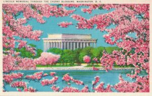 Vintage Postcard Washington D.C. Lincoln Memorial Through the Cherry Blossoms Preview