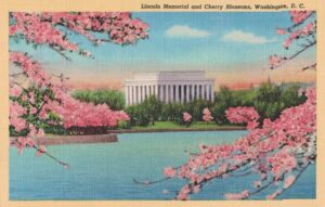 Vintage Postcard Washington D.C. Lincoln Memorial and Cherry Blossoms Preview