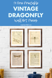 14 Free Printable Vintage Dragonfly Wall Art Pieces