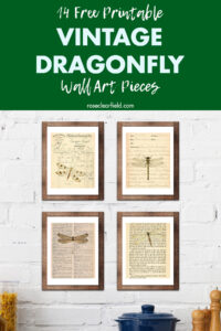14 Free Printable Vintage Dragonfly Wall Art Pieces