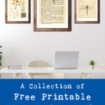 A Collection of Free Printable Vintage Dragonfly Wall Art