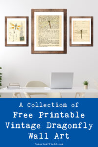 A Collection of Free Printable Vintage Dragonfly Wall Art