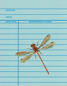 Blue Library Card Front Dragonfly 8x10 Preview