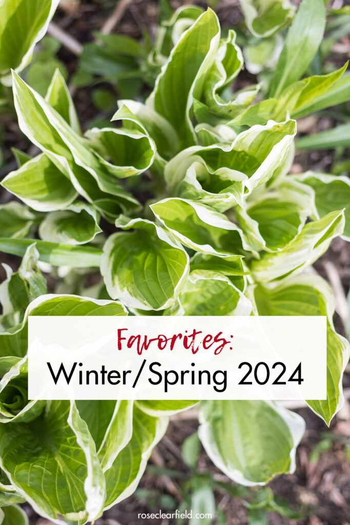 Favorites Winter Spring 2024