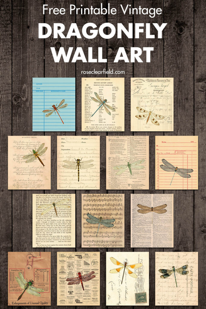 Free Printable Vintage Dragonfly Wall Art