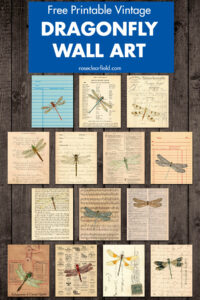 Free Printable Vintage Dragonfly Wall Art