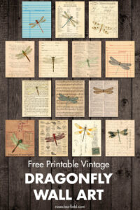 Free Printable Vintage Dragonfly Wall Art