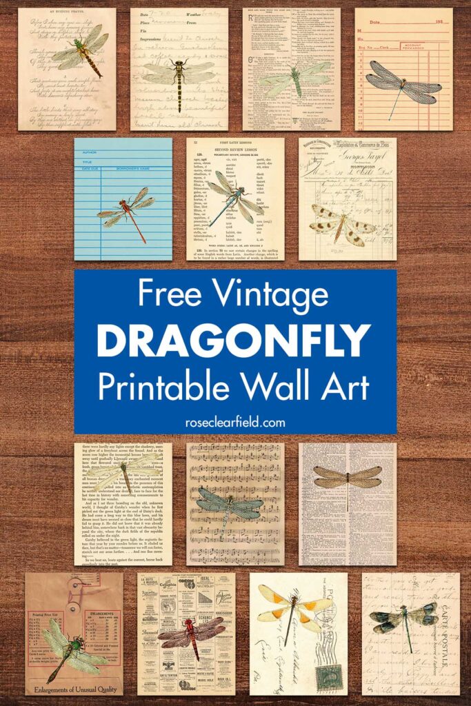 Free Vintage Dragonfly Printable Wall Art • Rose Clearfield