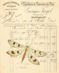 French Invoice Materiaux de Construction Dragonfly 8x10 Preview