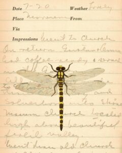 My Travels Abroad Travel Log Dragonfly 8x10 Preview