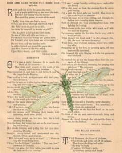 Poetry Book Page 1800s Dragonfly 8x10 Preview