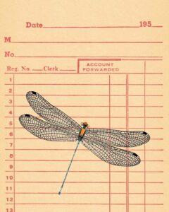 Receipt Red Ink Dragonfly 8x10 Preview