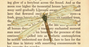 The Great Gatsby F. Scott Fitzgerald Page Dragonfly 8x10