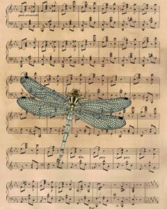 Vintage Classical Sheet Music Dragonfly 8x10 Preview