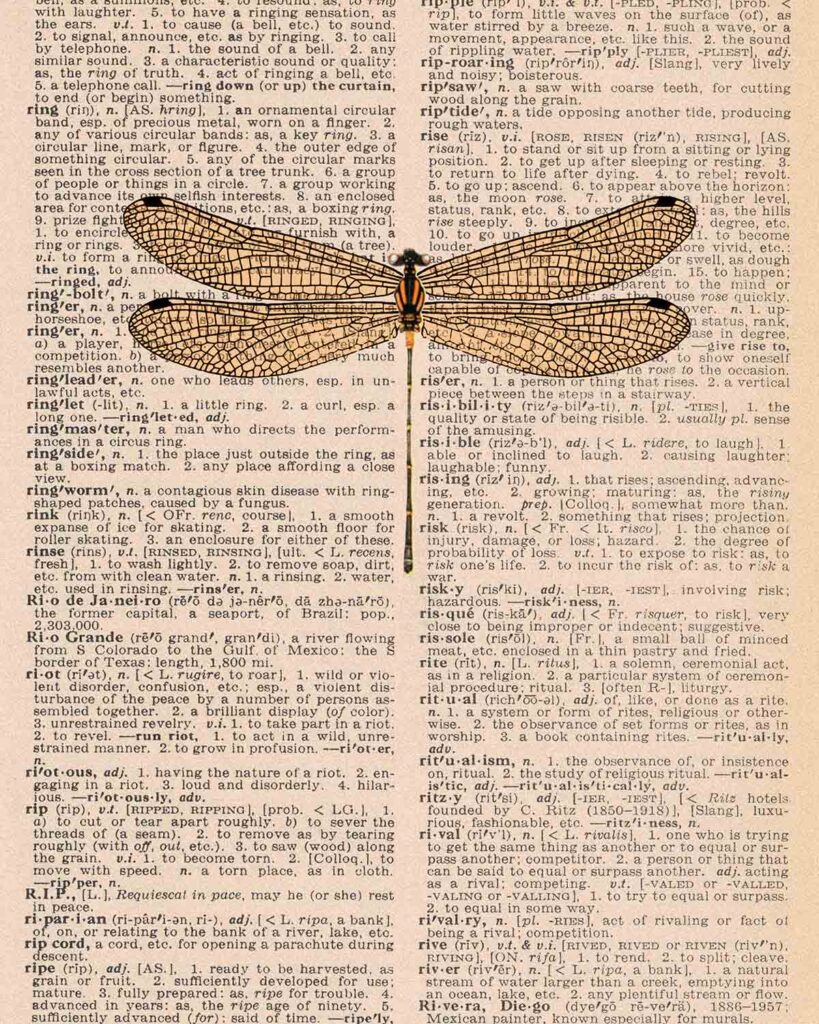 Free Printable Vintage Dragonfly Wall Art • Rose Clearfield