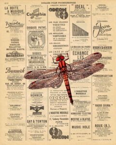 Vintage French Catalog Page Dragonfly 8x10 Preview