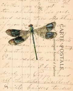 Vintage Postcard Carte Postale Postmarked Back Dragonfly 8x10 Preview