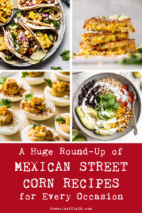 A Huge Round-Up of Mexican Street Corn Recipes for Every Occasion