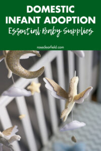 Domestic Infant Adoption Essential Baby Supplies