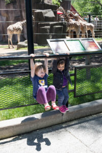 Olivia Genevieve Milwaukee Zoo