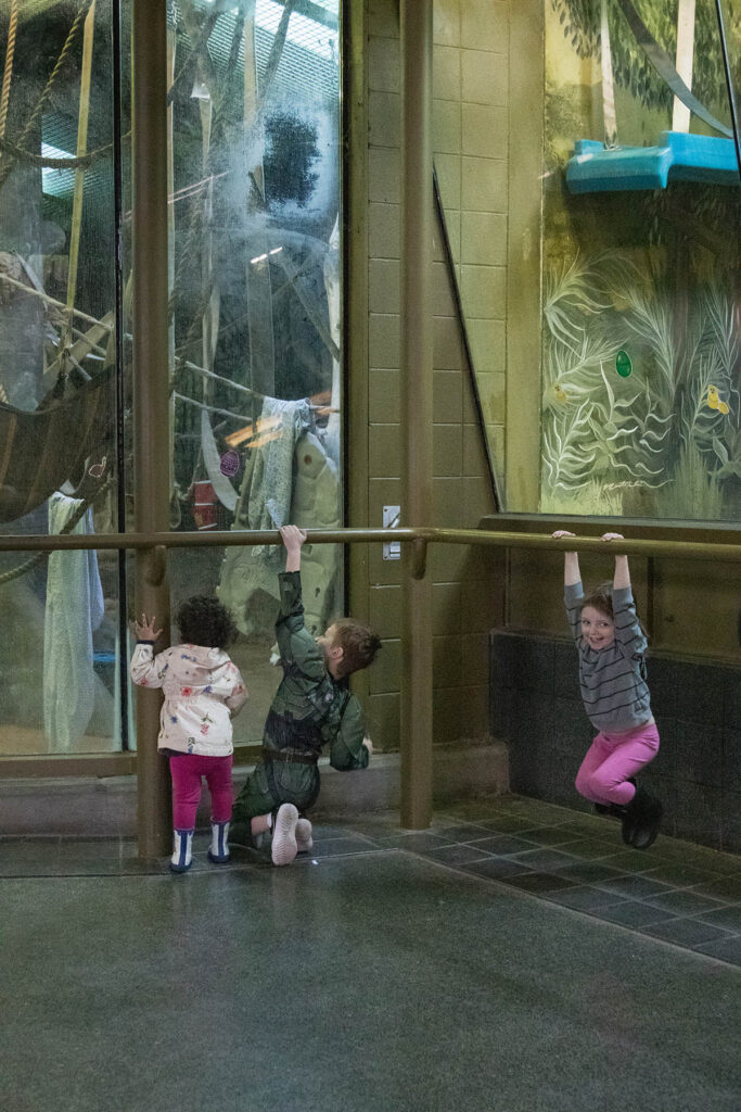 Racine Zoo