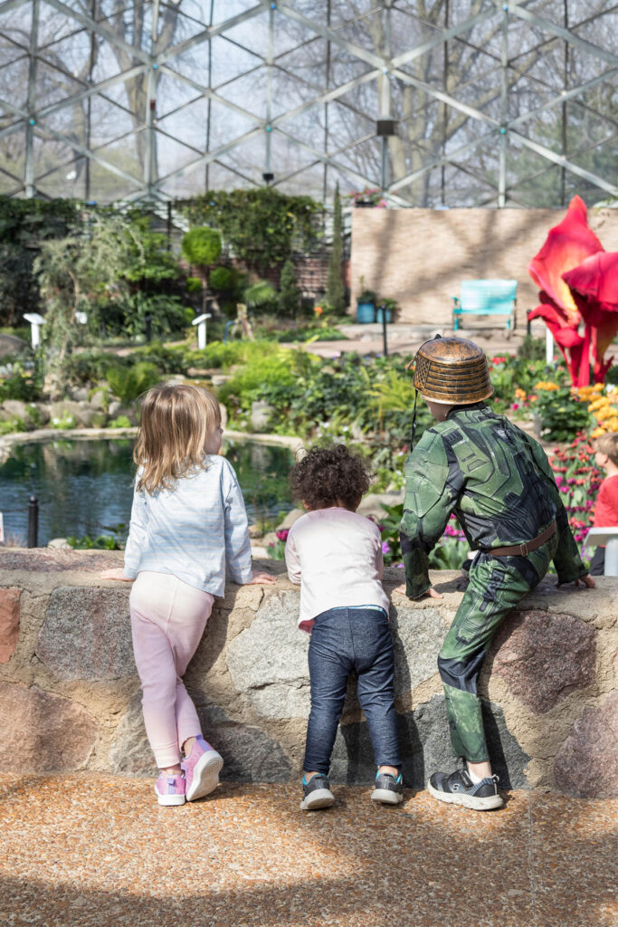 Spring Domes Show Kids