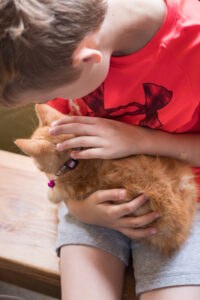 Tommy With Kitten Green Meadows