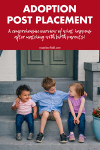 Adoption Post Placement A Comprehensive Overview