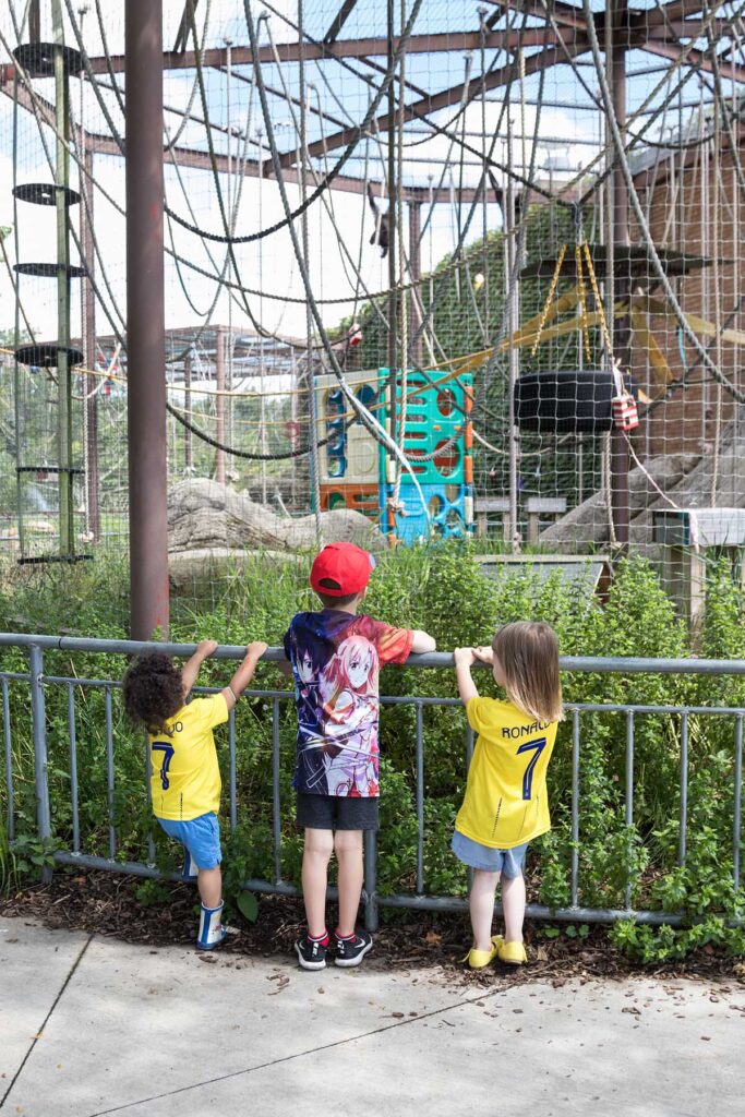 Kids Racine Zoo