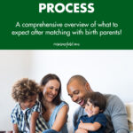 The Adoption Post Placement Process A Comprehensive Overview